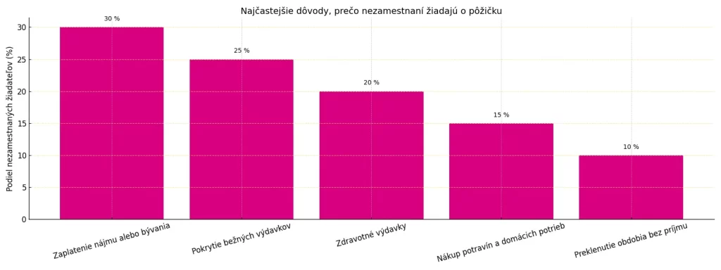 Najčastejšie dôvody, prečo nezamestnaní žiadajú o pôžičku – bývanie, výdavky, zdravie a potraviny.